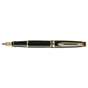 Estilográfica Waterman Expert Negro GT