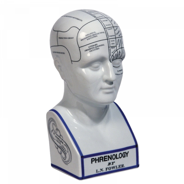 Cabeza Frenológica 21cms
