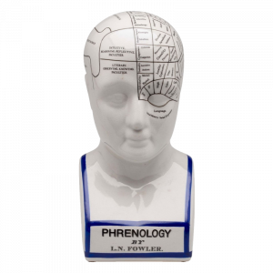 Cabeza Frenológica 21cms