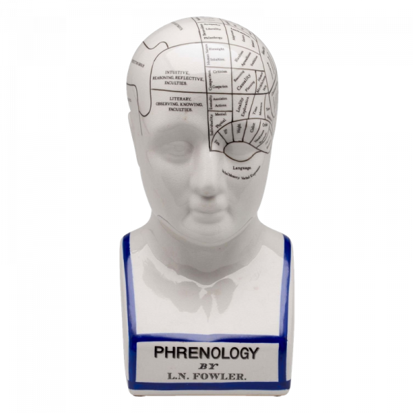 Cabeza Frenológica 21cms