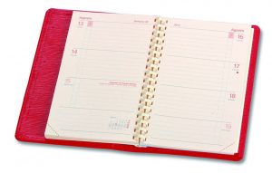 Recambio Myrga Liébana 2025