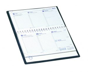 Recambio Myrga Corberá 2025