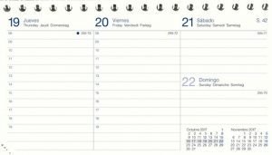 Recambio Myrga Corberá 2025