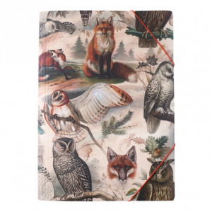 Carpeta vintage Zorros y Búhos