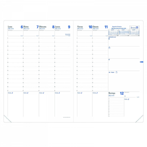 Recambio Cónsul 2025 Quo Vadis