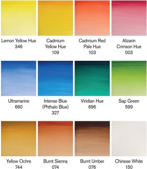 Winsor & Newton Sketcher Cotman Caja plástica de acuarela, 12 medio Godet