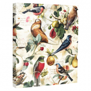 Archivador Pájaros 4 Anillas