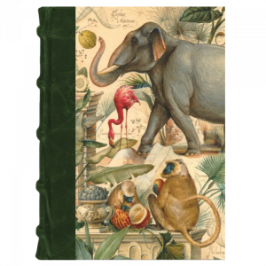 Diario Animales Salvajes