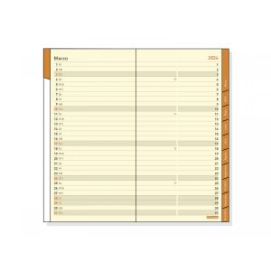 Recambio Anual Mes Vista Finocam 2024