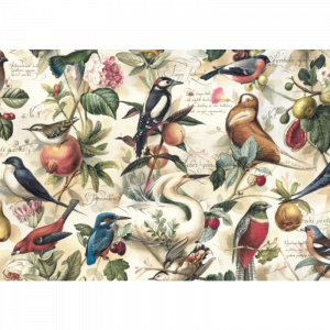 Papel Pájaros