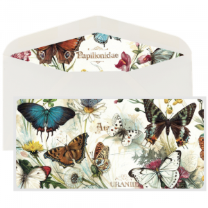 Juego Sobre y Tarjeta Mariposas