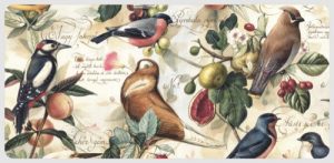 Juego Sobre y Tarjeta Pájaros y Frutas