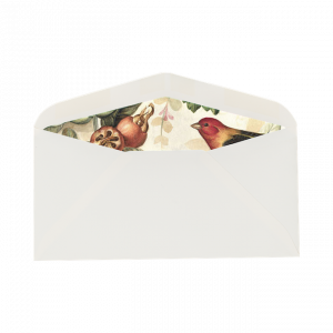 Juego Sobre y Tarjeta Pájaros y Frutas