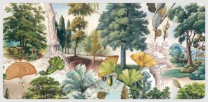 Juego Sobre y Tarjeta Árboles