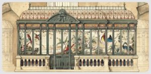 Juego Sobre y Tarjeta Pajarera