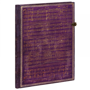 Diario 250 Aniversario del Nacimiento de Beethoven