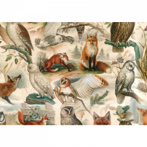 Papel Zorros y Búhos