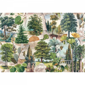 Papel La Misteriosa Vida de los Árboles