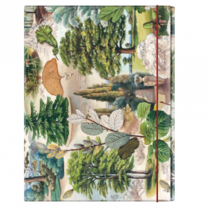 Carpeta Proyecto Árboles