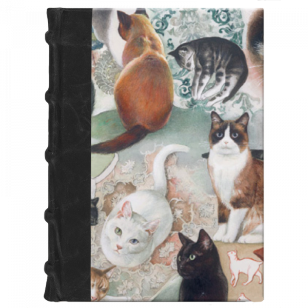 Diario Gatos