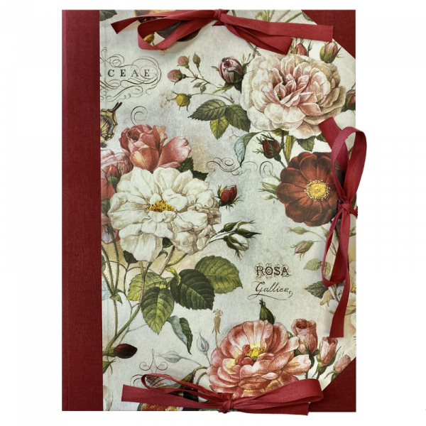 Carpeta Lazos Rosas