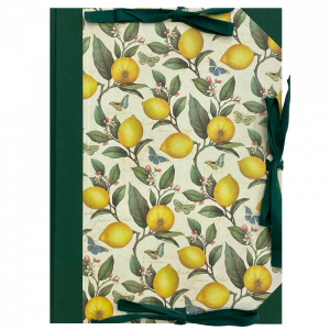 Carpeta Lazos Limones