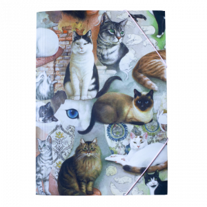 Carpeta Vintage Gatos