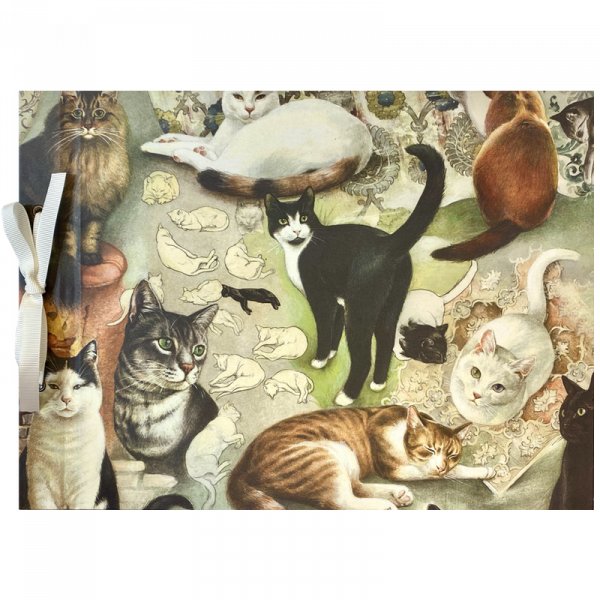 Álbum de fotos Gatos con lazo