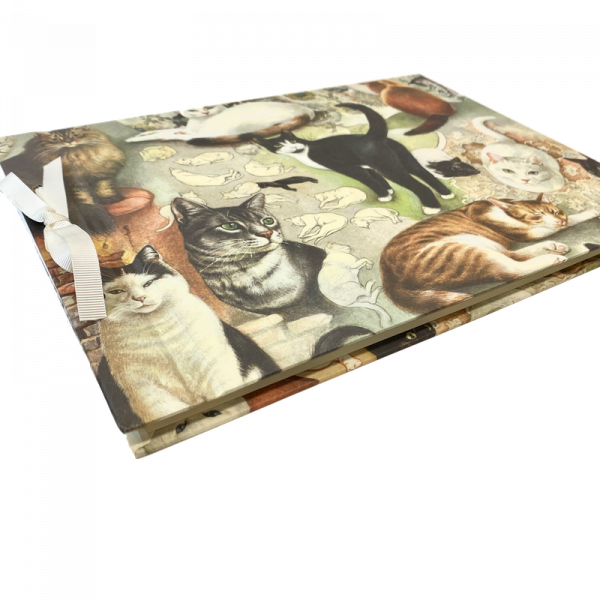 Álbum de fotos Gatos con lazo
