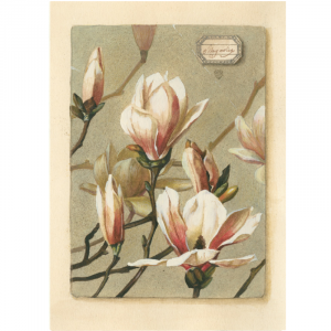 Rama de Magnolio Tarjeta Doble + Sobre