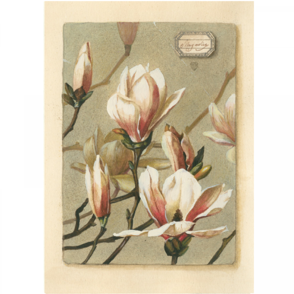 Rama de Magnolio Tarjeta Doble + Sobre