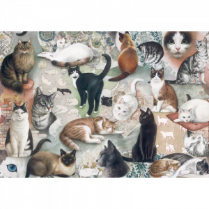 Papel Gatos