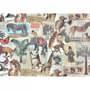 Papel Safari