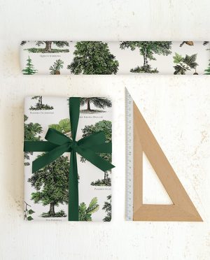 Papel Árboles verdes