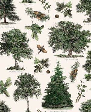 Papel Árboles verdes