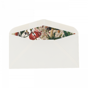 Juego Sobre y Tarjeta Animales Salvajes