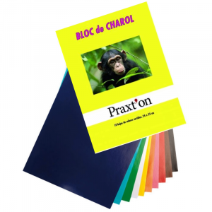 Bloc 10 Hojas Papel Charol
