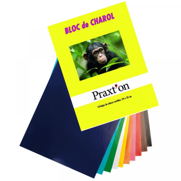 Bloc 10 Hojas Papel Charol
