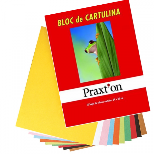 Bloc 10 Hojas Cartulina