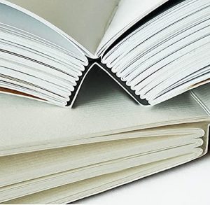 Diario Orgullo y Prejuicio