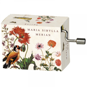 Caja Música Maria Sibylla