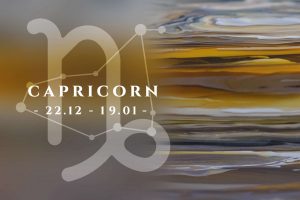 Bolígrafo Montegrappa Zero Zodiac Capricornio