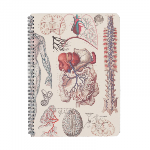 Cuaderno Anatomía Vascular A5 Espiral