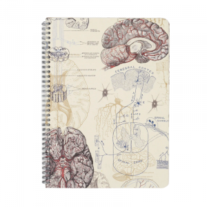 Cuaderno Neurociencia A5 Espiral