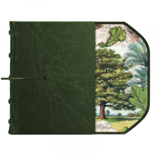 Diario en piel ver con solapa Árboles