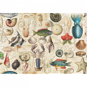 Papel animales marinos