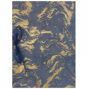 Libro de Testigos Aguas oro