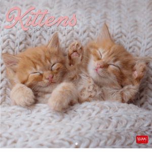 Calendario Pared 2026 Kittens