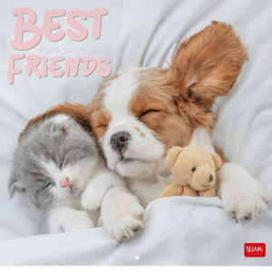 Calendario Pared 2026 Best Friends