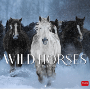 Calendario Pared 2026 Wild Horses